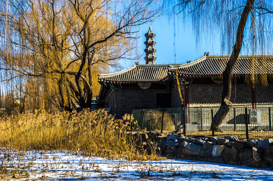 北京圆明园冬天的风景