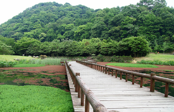 宁波天童国家森林公园