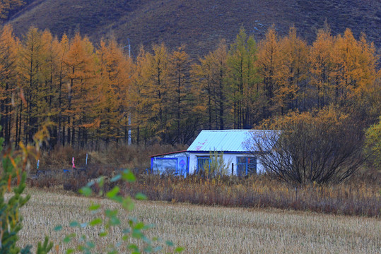 山里人家