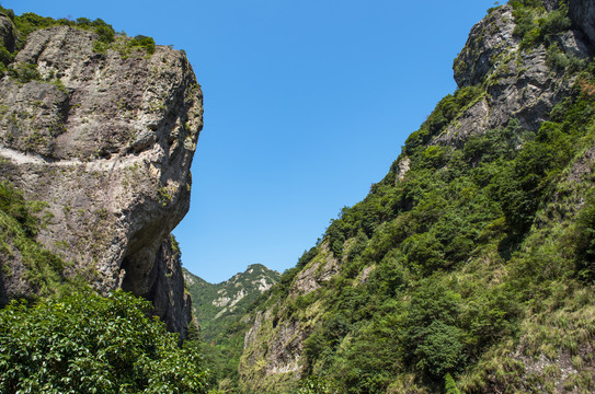 山景