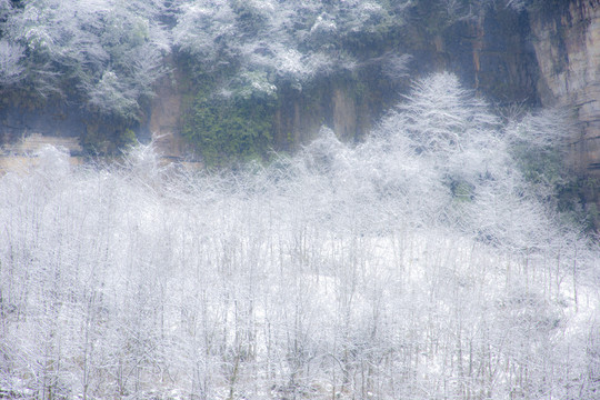 雪山