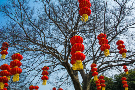 大红灯笼高高挂