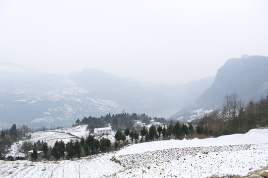 雪景