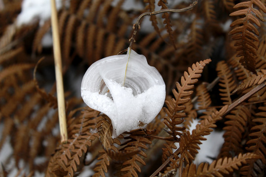 冰雪花