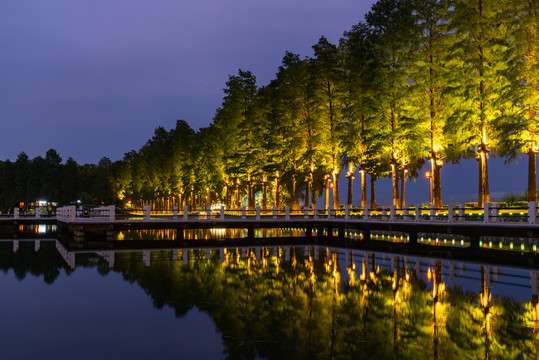 武汉东湖碧潭观鱼夜景