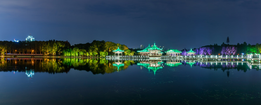 武汉东湖碧潭观鱼夜景