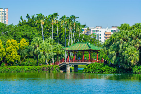 流花湖公园