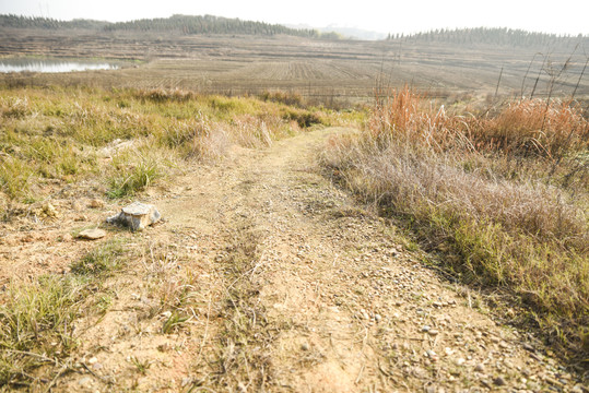 农村道路