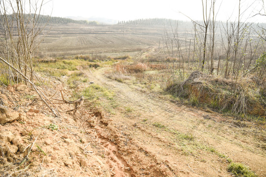 农村道路