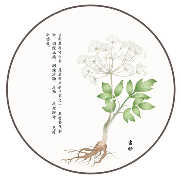 當(dāng)歸