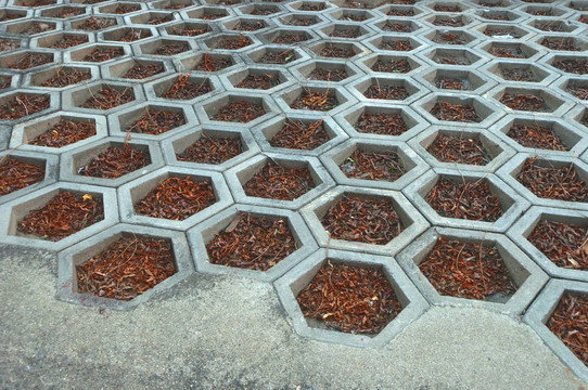 蜂巢状地砖
