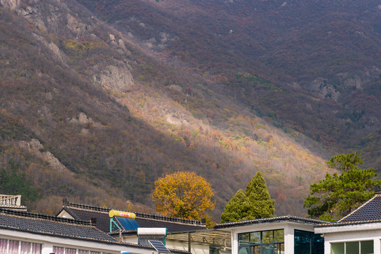 山村风景