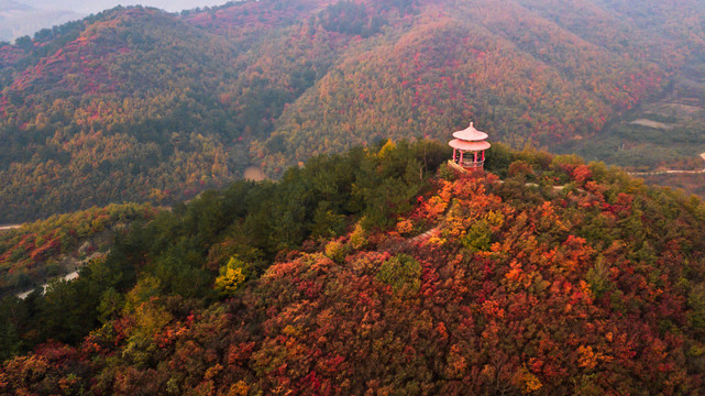 山林秋色