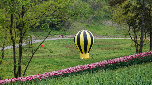 花园中热气球
