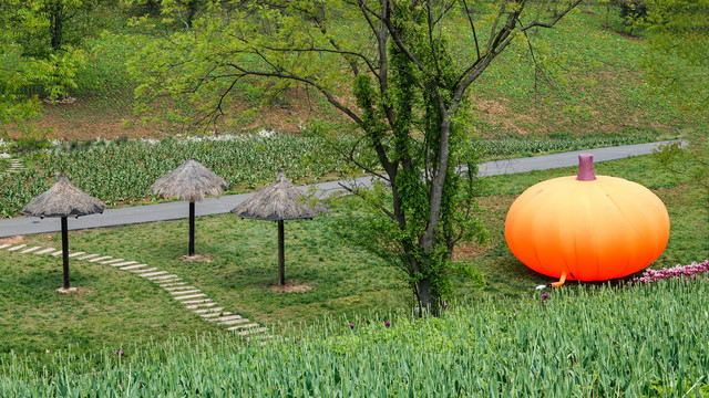 花园中的热气球