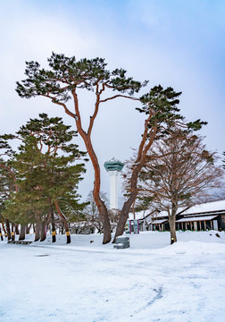 日本函馆五棱郭景区