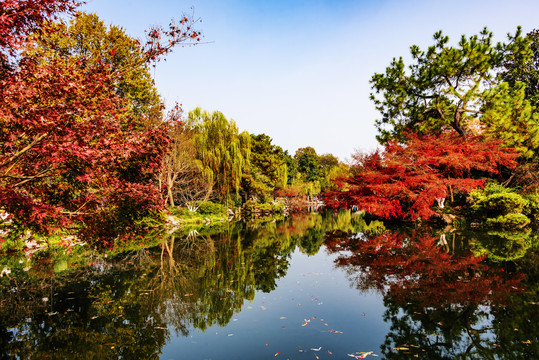 杭州秋景