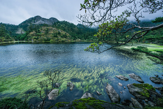 螺髻山水草湖