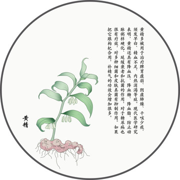 黃精
