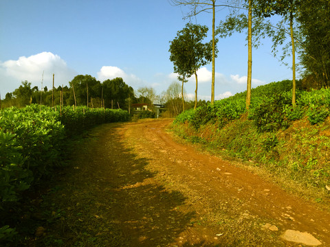 乡村公路