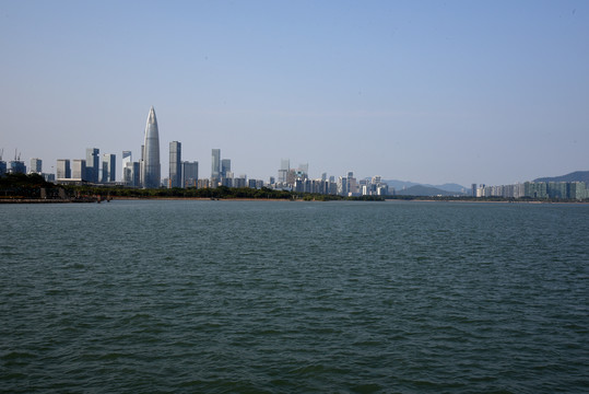 深圳湾海岸线