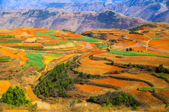 昆明东川红土地