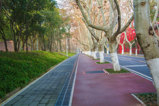 大学校园人行道