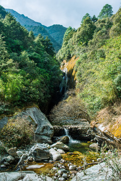 苍山七龙女池