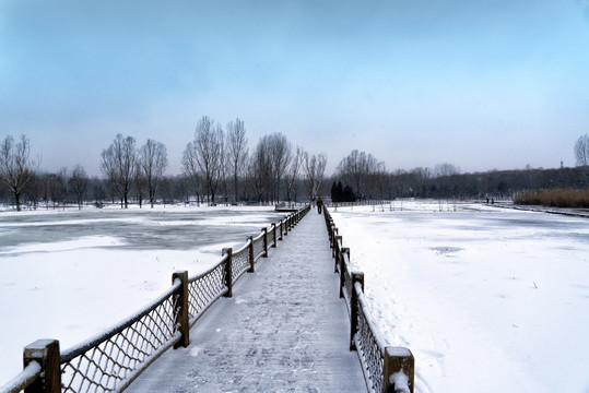 雪景