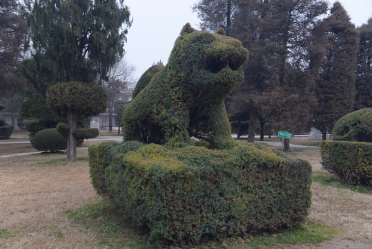 植物雕塑