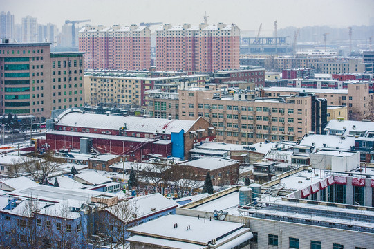 城市雪景