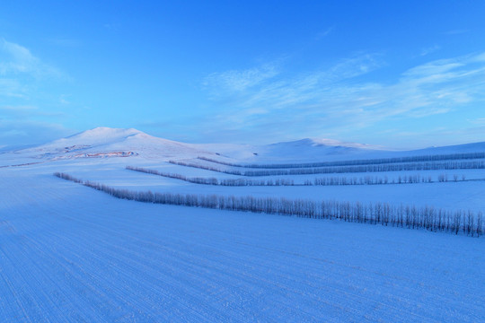 呼伦贝尔雪域农田风景