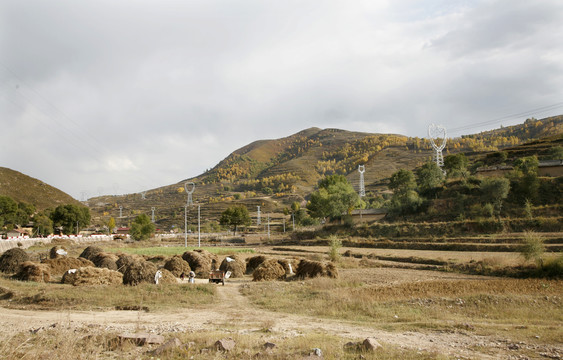 农家麦场