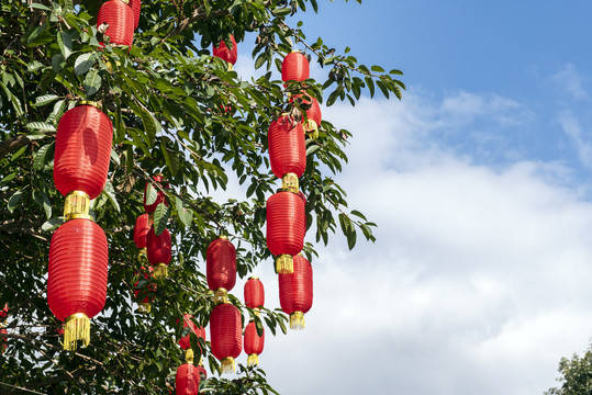 红灯笼春节过年