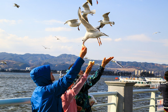 昆明滇池海埂大坝