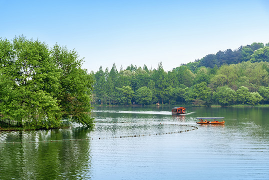 杭州西湖景區茅家埠自然風光