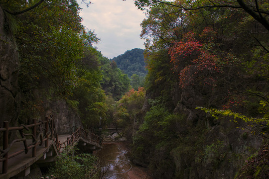 老君山小路