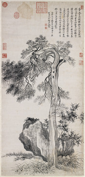 惲壽平禹穴古柏圖
