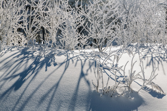 雪谷风光21