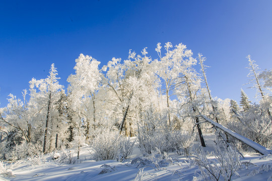 雪谷风光12