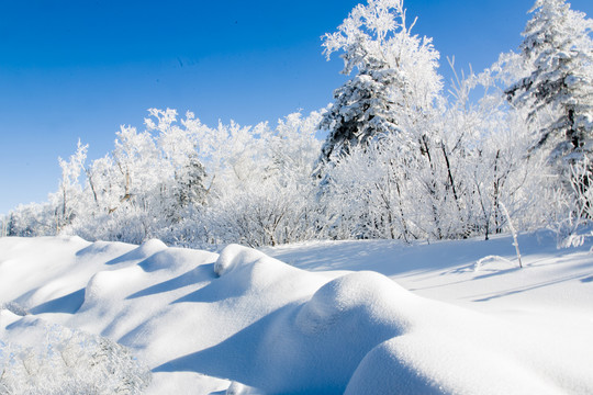 雪谷风光5