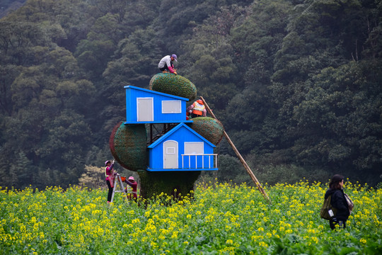 油菜花地小蓝屋维护