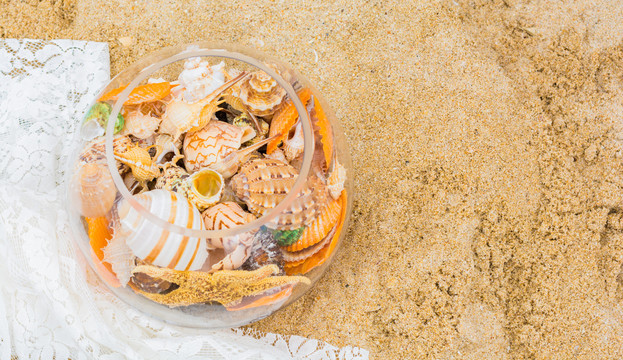 沙滩上美丽的海星和贝壳类
