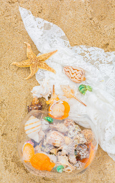 沙滩上美丽的海星和贝壳类