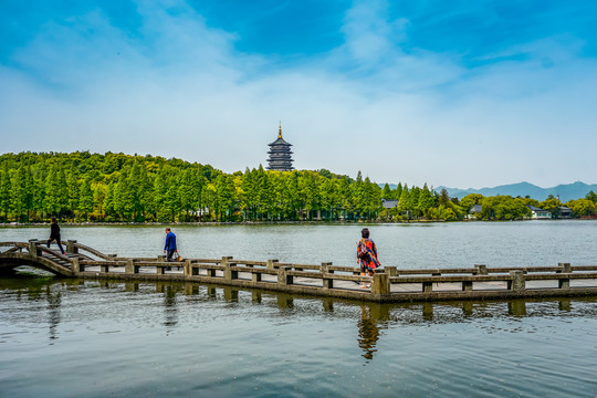 西湖全景