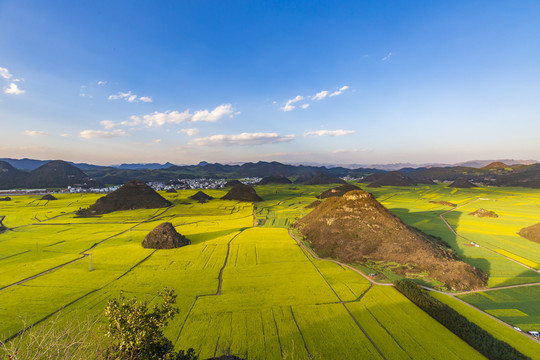 罗平金鸡峰丛油菜花海