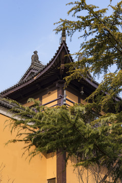 寺庙黄墙飞檐
