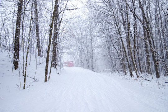 雪景