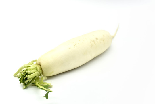 白蘿卜