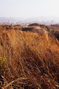 高山山丘荒山野岭